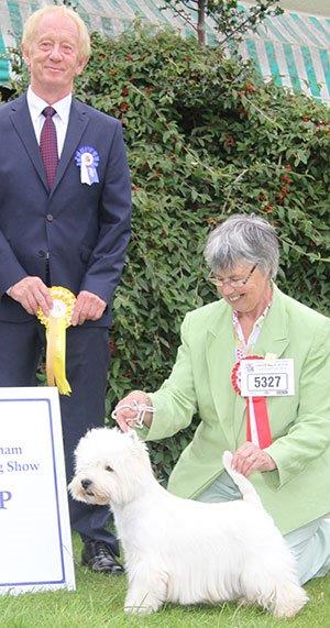 National Terrier Dog Show in England